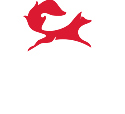 Fox RE